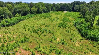 Rare opportunity to own approximately 17.65+/- acres in Brandon - photo 35