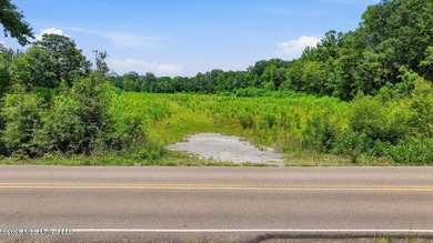 Rare opportunity to own approximately 17.65+/- acres in Brandon - photo 36