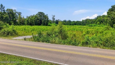 Rare opportunity to own approximately 17.65+/- acres in Brandon - photo 37