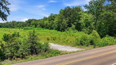 Rare opportunity to own approximately 17.65+/- acres in Brandon - photo 38