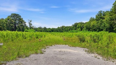 Rare opportunity to own approximately 17.65+/- acres in Brandon - photo 39