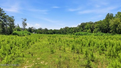 Rare opportunity to own approximately 17.65+/- acres in Brandon - photo 40