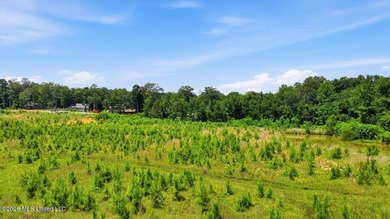 Rare opportunity to own approximately 17.65+/- acres in Brandon - photo 41
