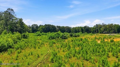 Rare opportunity to own approximately 17.65+/- acres in Brandon - photo 42