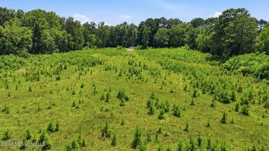 Rare opportunity to own approximately 17.65+/- acres in Brandon - photo 43