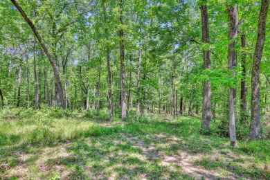 Incredible custom home on 3.7 private, wooded acres