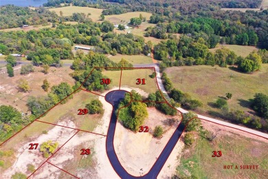 Lake Lot For Sale in Pittsburg, Texas