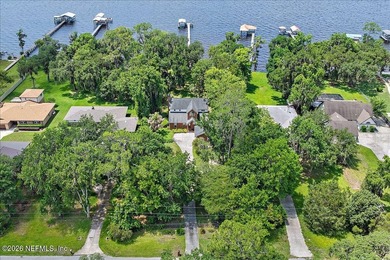 Picture your life on the St Johns River. A pair of bald eagles - photo 2