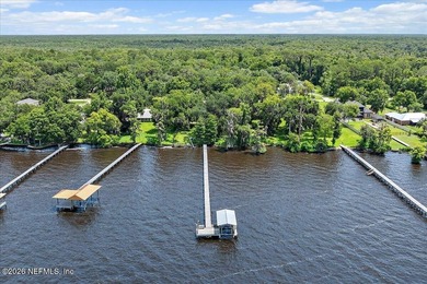 Picture your life on the St Johns River. A pair of bald eagles - photo 3
