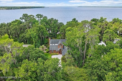 Picture your life on the St Johns River. A pair of bald eagles - photo 6