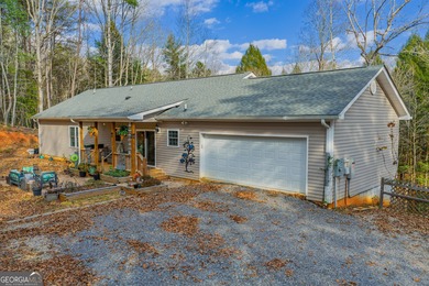 Ellijay River Home For Sale in Ellijay Georgia