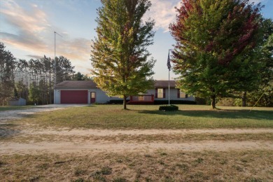 Lake Home For Sale in Marion, Michigan