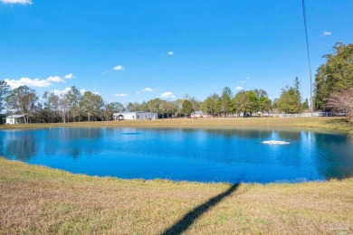 (private lake, pond, creek) Home For Sale in Molino Florida
