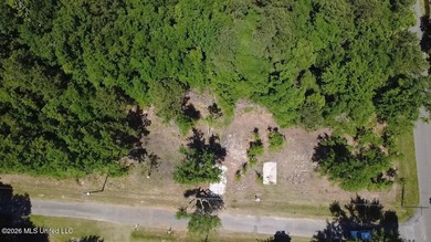 Perfect lot for your future homesite just a short walk to the - photo 1