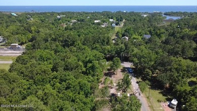 Perfect lot for your future homesite just a short walk to the - photo 2