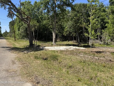 Perfect lot for your future homesite just a short walk to the - photo 6