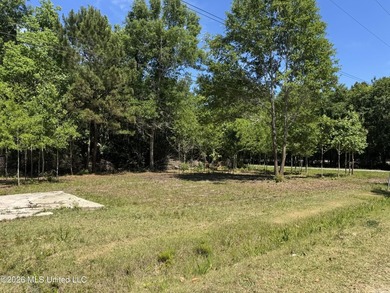 Perfect lot for your future homesite just a short walk to the - photo 7