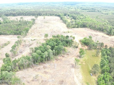This 113+/- acre tract in Smith County, Mississippi, consists - photo 2