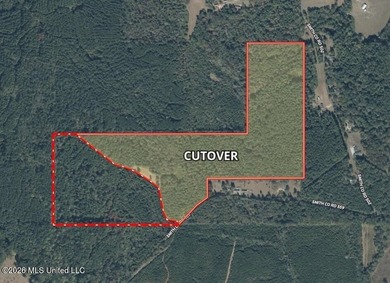 This 113+/- acre tract in Smith County, Mississippi, consists - photo 3