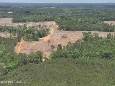 This 113+/- acre tract in Smith County, Mississippi, consists - photo 4