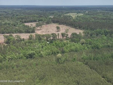This 113+/- acre tract in Smith County, Mississippi, consists - photo 5