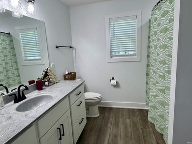 Welcome home to this this beautifully designed 4 bedroom, 2 bath - photo 15