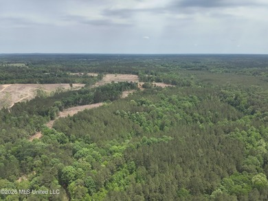 This 113+/- acre tract in Smith County, Mississippi, consists - photo 6