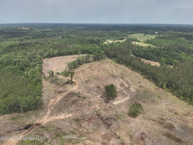 This 113+/- acre tract in Smith County, Mississippi, consists - photo 7