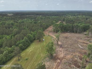 This 113+/- acre tract in Smith County, Mississippi, consists - photo 8