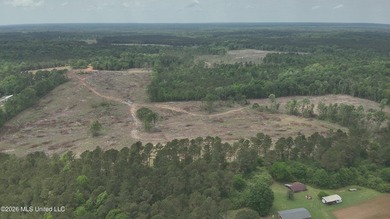 This 113+/- acre tract in Smith County, Mississippi, consists - photo 9