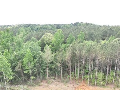 This 113+/- acre tract in Smith County, Mississippi, consists - photo 10