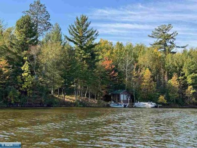 Lake Home For Sale in Cook, Minnesota