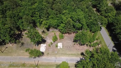 Perfect lot for your future homesite just a short walk to the - photo 3