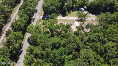 Perfect lot for your future homesite just a short walk to the - photo 4