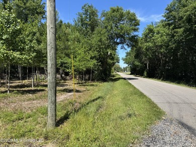 Perfect lot for your future homesite just a short walk to the - photo 6