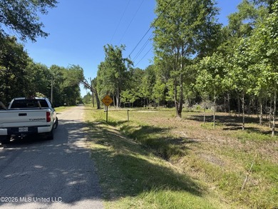 Perfect lot for your future homesite just a short walk to the - photo 7
