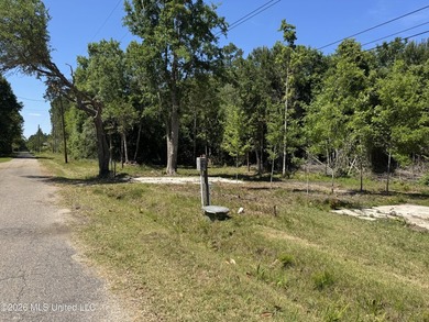 Perfect lot for your future homesite just a short walk to the - photo 8