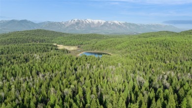 Lake Lot For Sale in Eureka, Montana