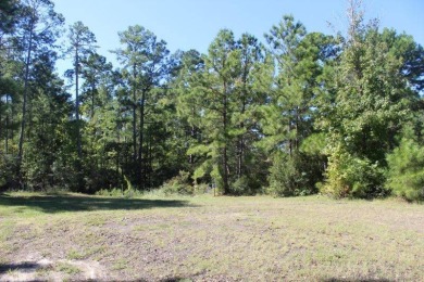 Toledo Bend Reservoir Lot For Sale in Anacoco Louisiana