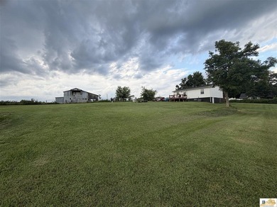 COUNTRY CHARM WITH MODERN UPDATES! Looking for peaceful country - photo 5