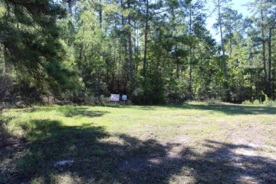 Toledo Bend Reservoir Lot For Sale in Anacoco Louisiana