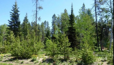 Lake Lot For Sale in Donnelly, Idaho