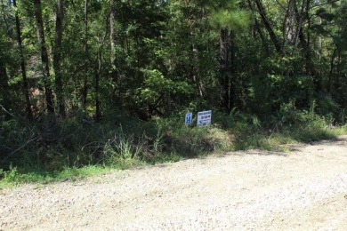 Toledo Bend Reservoir Lot For Sale in Anacoco Louisiana