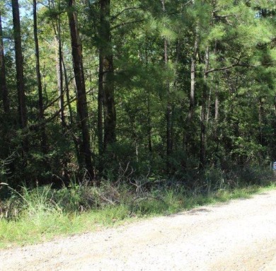 Toledo Bend Reservoir Lot For Sale in Anacoco Louisiana