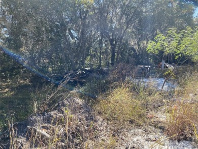 Less than 1.5 miles from the shores of Lake Marion in Poinciana - photo 2