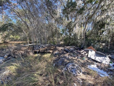 Less than 1.5 miles from the shores of Lake Marion in Poinciana - photo 3