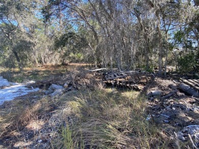 Less than 1.5 miles from the shores of Lake Marion in Poinciana - photo 5