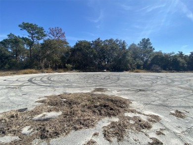 Less than 1.5 miles from the shores of Lake Marion in Poinciana - photo 6