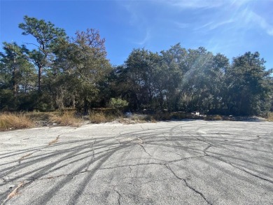 Less than 1.5 miles from the shores of Lake Marion in Poinciana - photo 7