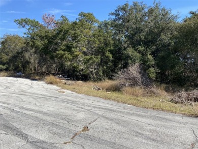 Less than 1.5 miles from the shores of Lake Marion in Poinciana - photo 8